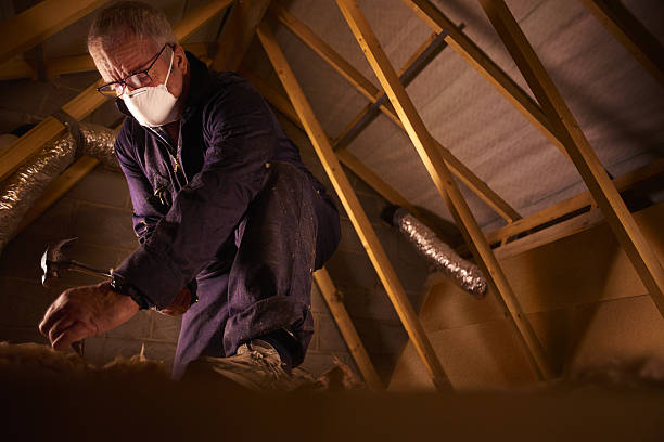 Best Eco-Friendly Insulation in Rlborough, MA